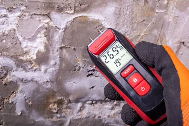 Mold Testing and Removal in Dumont, NJ